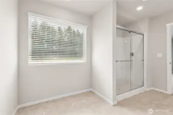 blinds for example only - shower only. Open space will remain.