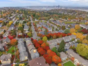 Vibrant High Point neighborhood with tree-lined streets and mountain backdrop.