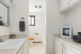 Semi-separate full tub and toilet area in primary bathroom, plus extra counter and storage