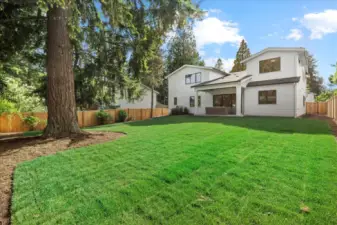 Large backyard easy to maintain!