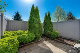 Back Patio