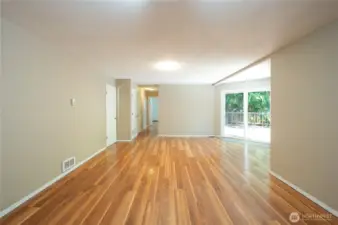 Family Room Downstairs