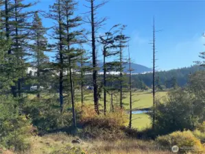 This view is taken from the north end of the property looking towards Mount Constitution.