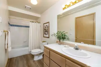 Lower Level Bathroom
