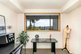 Lower Level Den/Office