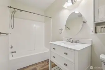 lower level bathroom