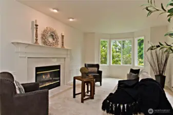 gas fire place