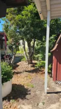 Property behind Carport Storage