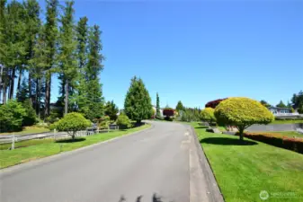 Great place to call home
