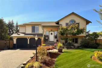 Welcome Home !