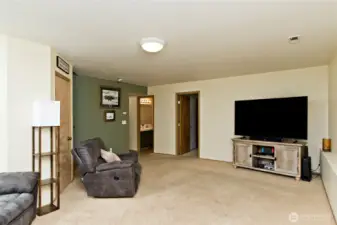 Downstairs Family room