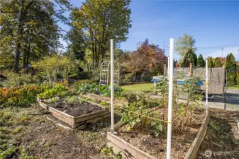 Expansive garden area with raised garden beds. Enjoy thornless blackberries, raspberries, huckleberries and more!