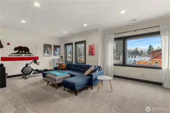 Media Room/Excercise Room