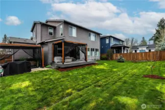 Fully fenced backyard features several fruit trees, deck, patio, 2 pergolas and a 7 person hot tub!