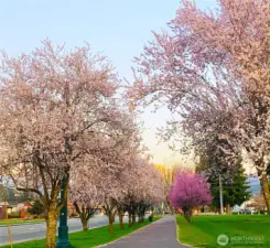 The Foothills Trail into Orting in the Spring