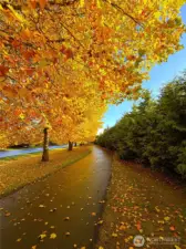 The Foothills Trail in the Fall