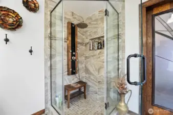 Primary Shower