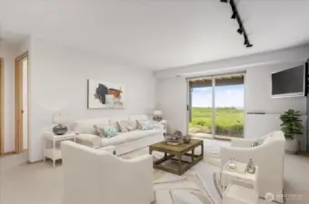 Virtually staged bonus room in walkout basement