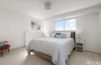 Lower level guest room