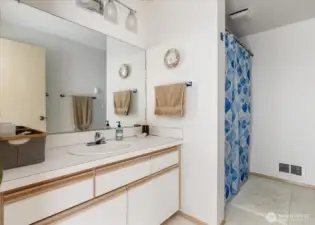 Lower level full bath