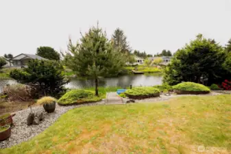 Front yard