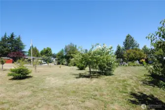 From SW corner of lot