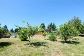 From back of lot