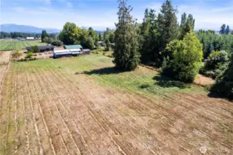 Back of property
