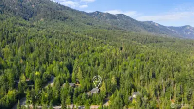 Aerial view of home and neighborhood