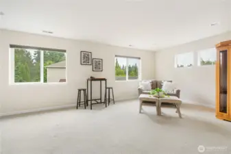 The third bedroom can be a bonus room or extra large bedroom with closet.