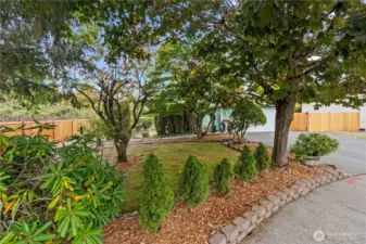 Step into your own private oasis