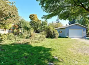 More of north side of property