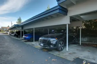 Parking spot for the unit.