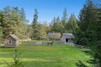 From the Glamping Nests, enjoy a sweeping view across the west paddock to the main paddock, with the barn and home perfectly framed by towering evergreens. The fenced, open green space highlights the property’s true equestrian functionality—ideal for turnout, grazing, and daily barn life.