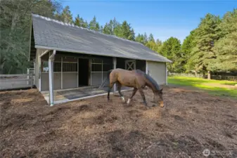 The two-stall barn is set within the fenced equestrian area, offering easy access to turnout and daily routines in a quiet, private setting. With covered stall fronts and generous surrounding space, it’s a practical and inviting hub for boarding, grooming, and everyday barn life.