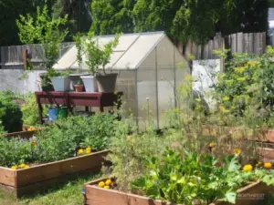 Greenhouse and raised vegetable beds.