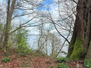 Bluff lot with gorgeous water views of boat traffic from Everett, whale watching & the mountain views are of snow capped Mt Baker & the Cascade Mtn Range.