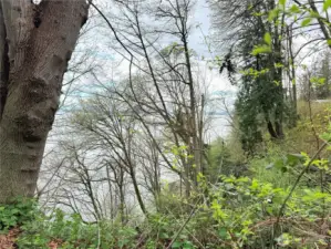 Bluff lot with gorgeous water views of boat traffic from Everett, whale watching & the mountain views are of snow capped Mt Baker & the Cascade Mtn Range.