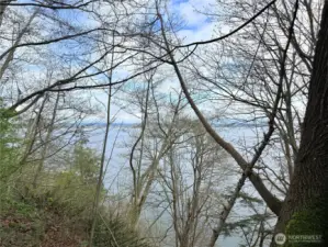 Bluff lot with gorgeous water views of boat traffic from Everett, whale watching & the mountain views are of snow capped Mt Baker & the Cascade Mtn Range.