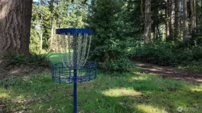 Disc golf