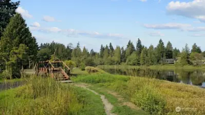 Beautiful vistas await for you to discover on your walks around the lake!