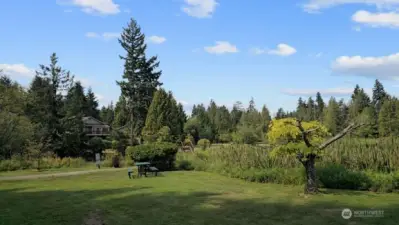 Discover impromptu picnic spots like this charming table just west of your home! It's the perfect place to pause, relax, and take in the natural beauty of the lake.