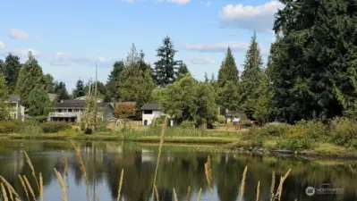There’s something special about catching sight of your own home from across the lake on an evening walk, a quiet reminder of the peace and beauty that surround you.