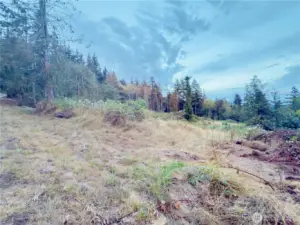 5+ acres: views of the Columbia River with home, 36x40 shop with one bedroom ADU