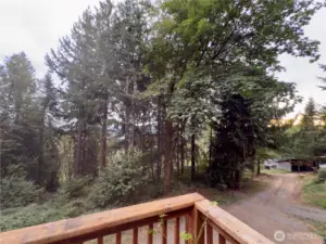 View from deck looking towards 36x40 shop with one bedroom ADU