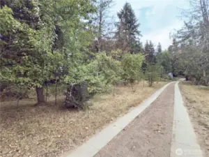 Driveway past the gated entrance, fruit trees and lilac trees line the driveway