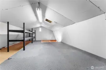 Loft/storage area of shed