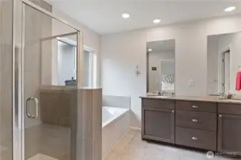 Primary bathroom