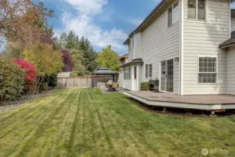 Great grassy play-space out back