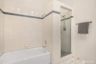 The primary bath is huge with high ceilings